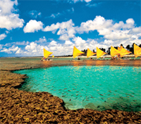 Porto de Galinhas